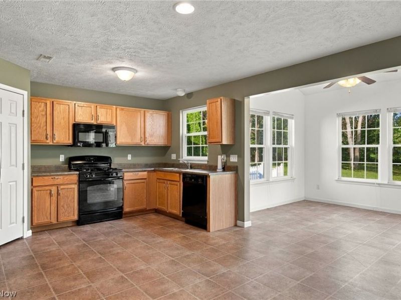 8735 Ashton Pl Drive, North Ridgeville, OH 44039 Photo 15