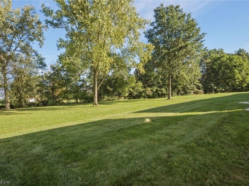 8735 Ashton Pl Drive, North Ridgeville, OH 44039 Photo 42