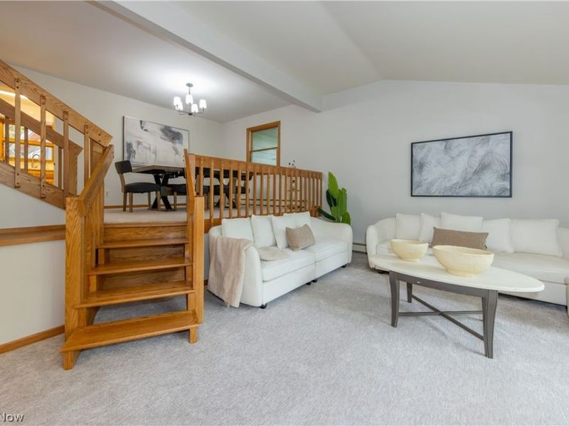 4894 Coldbrook Drive, Mantua, OH 44255 Photo 8
