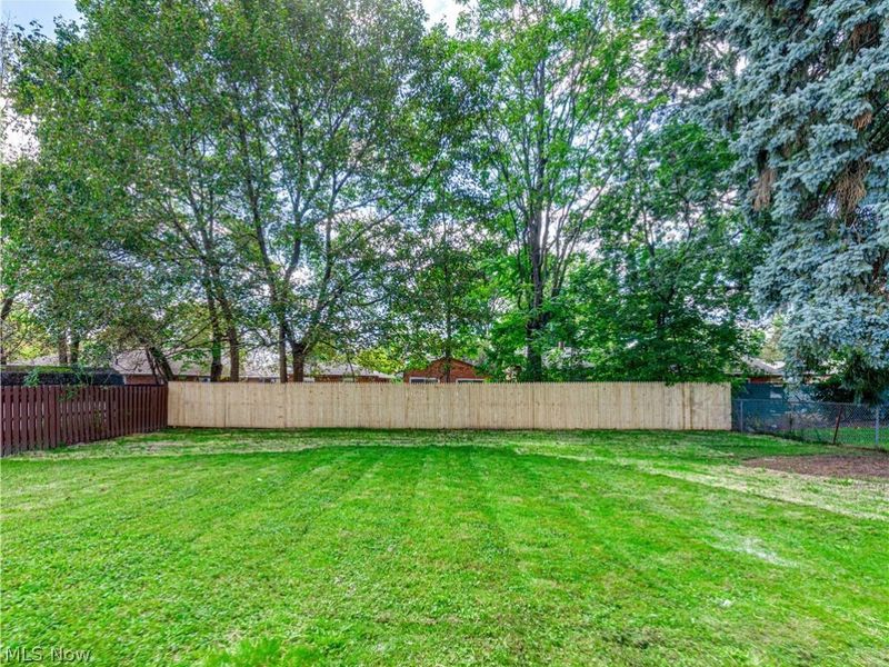 1064 Ray Street , Akron, OH 44306 Photo 5