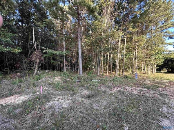 24 County Road 1011, Unit 31, Centre, AL 35960