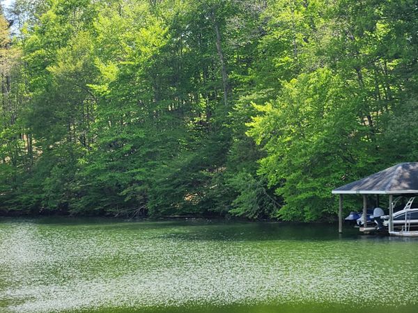 64 Lakewatch CIR , Moneta, VA 24121