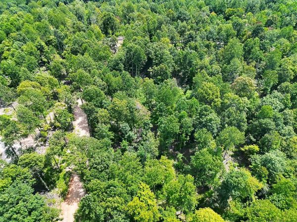 0 (Lot 8) Frenchman Knob Road , Bonnieville, KY 42765