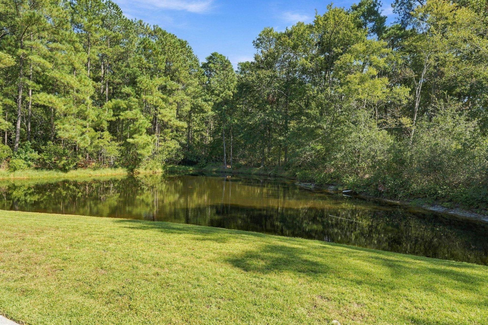 255 Candlewood Dr. Photo 39