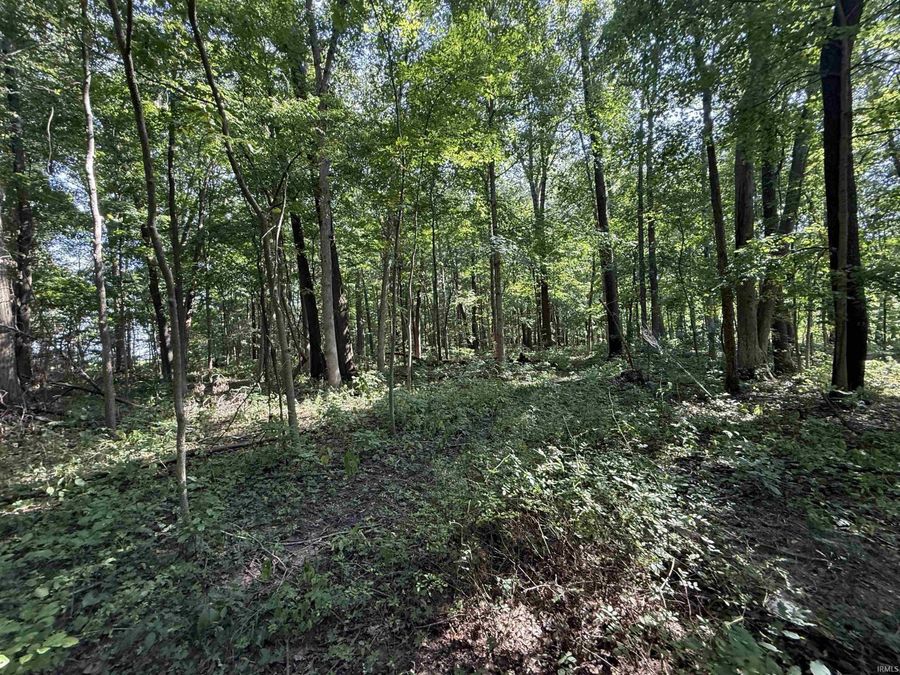 Property Image 35