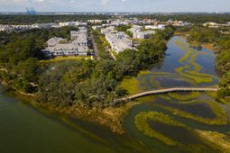 130 River Landing Drive photo 4