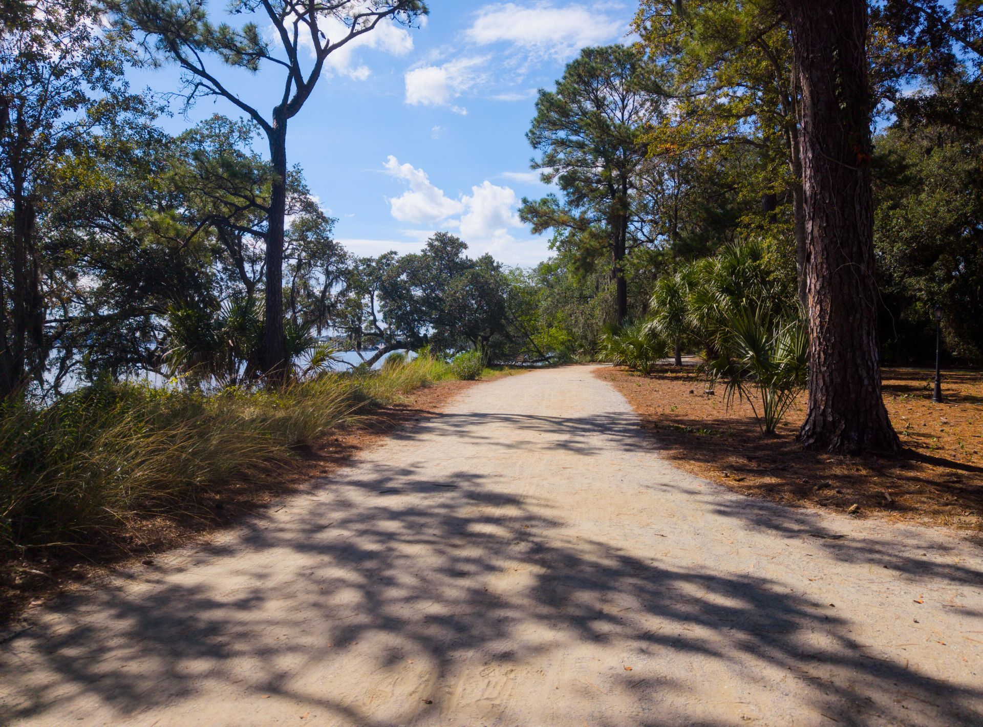130 River Landing Drive Photo 30