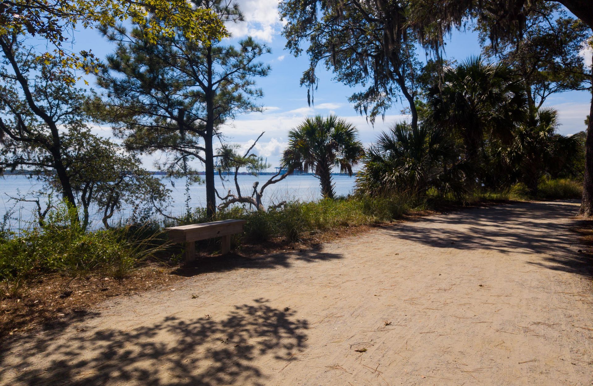 130 River Landing Drive Photo 4
