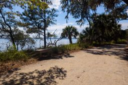 130 River Landing Drive photo 4