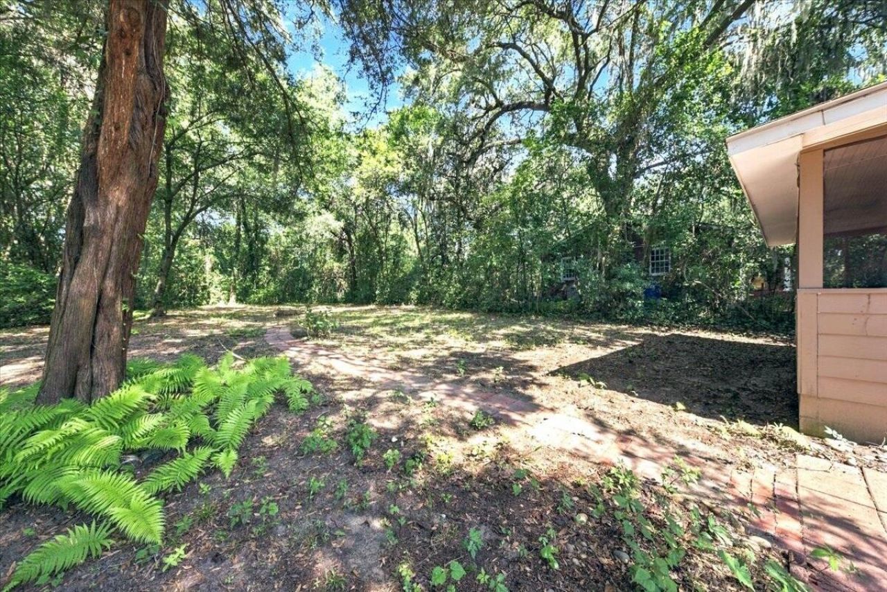 4552 Flynn Drive Photo 23