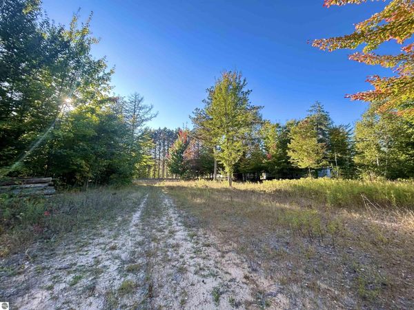 Landis Road, Thompsonville, MI 49683