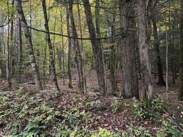 0 Baker Turn, Unit 6-2079, Hartford, VT 05059