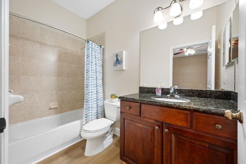 114 Irwin St E, Safety Harbor, FL 34695 Photo