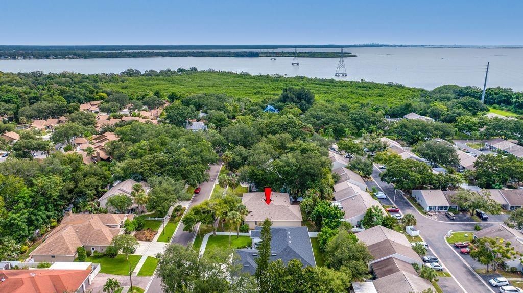 114 Irwin St E, Safety Harbor, FL 34695 Photo