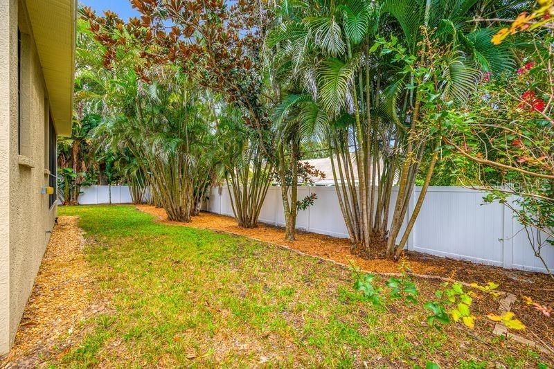 114 Irwin St E, Safety Harbor, FL 34695 Photo
