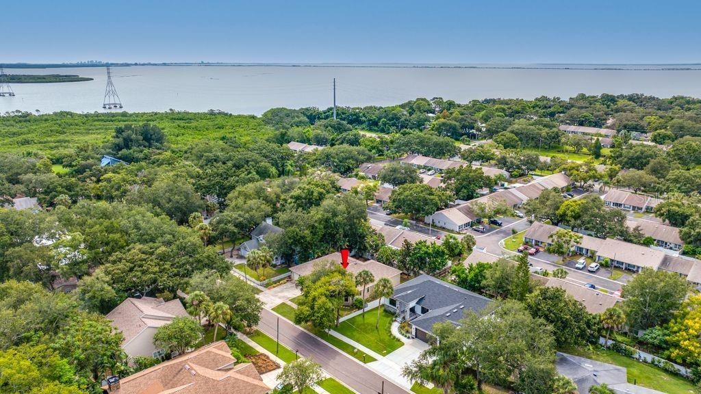 114 Irwin St E, Safety Harbor, FL 34695 Photo