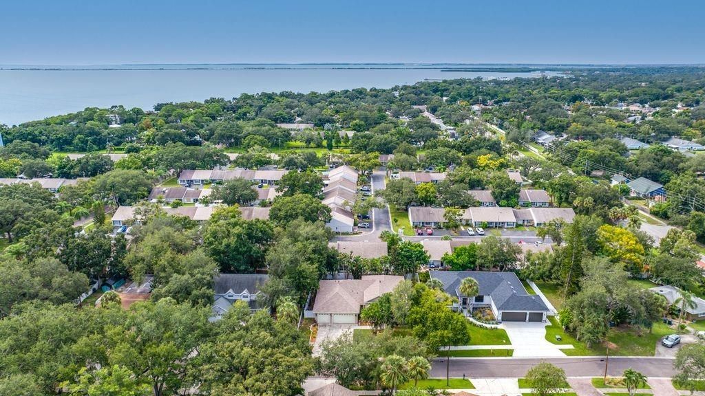 114 Irwin St E, Safety Harbor, FL 34695 Photo