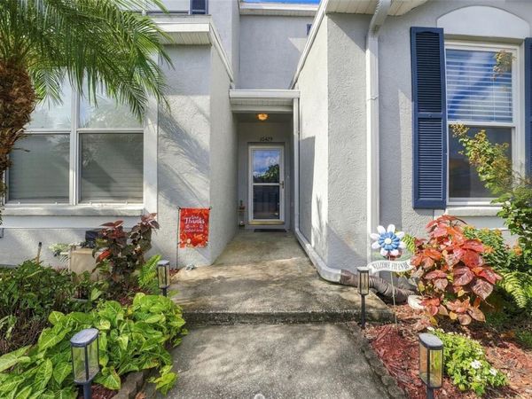 10429 HERON LAKE DRIVE, RIVERVIEW, FL 33578