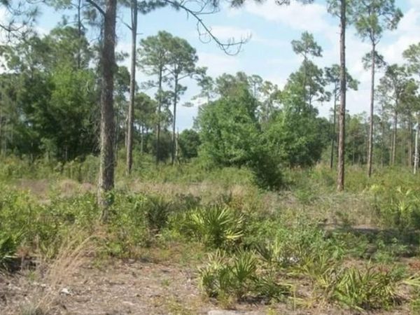 1055 UNION AVENUE , CLEWISTON, FL 33440
