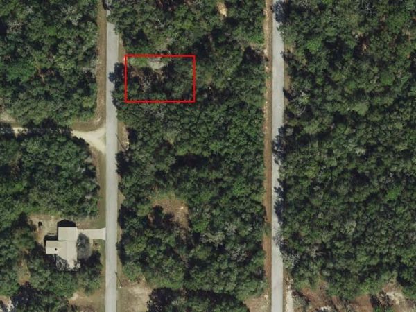 6569 N FLOWER TERRACE , HERNANDO, FL 34442