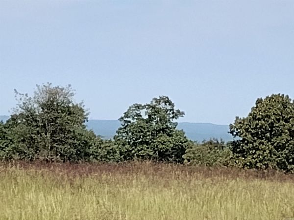 0 Toad Hollow rd, Mountain View, AR 72560