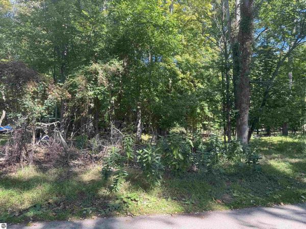 Campbell Avenue, Hale, MI 48739
