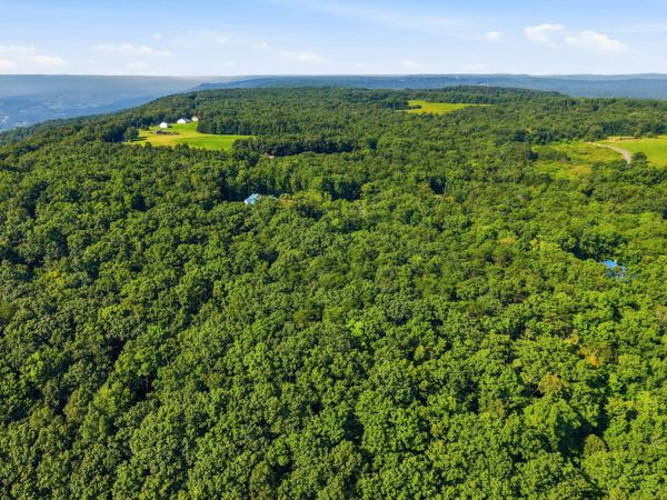 0 Timber View Road, Pikeville, TN 37367