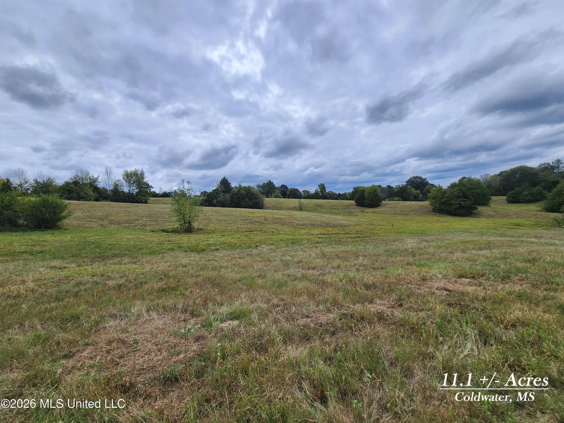 11.1 Bub Jamison Road, Coldwater, MS 38618 Main Photo