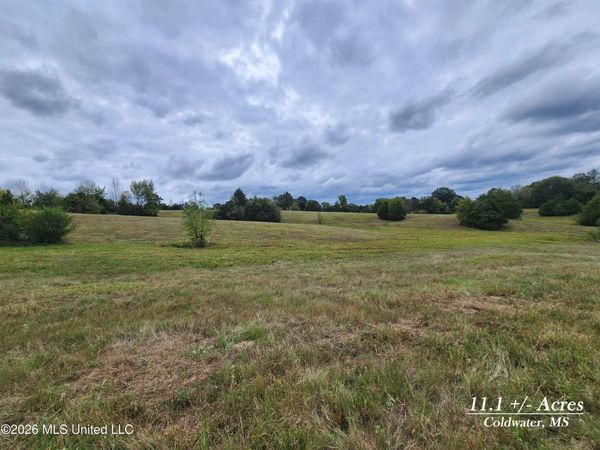 11.1 Bub Jamison Road, Coldwater, MS 38618