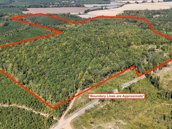 3243 Hohenlinden Road, Mantee, MS 39751