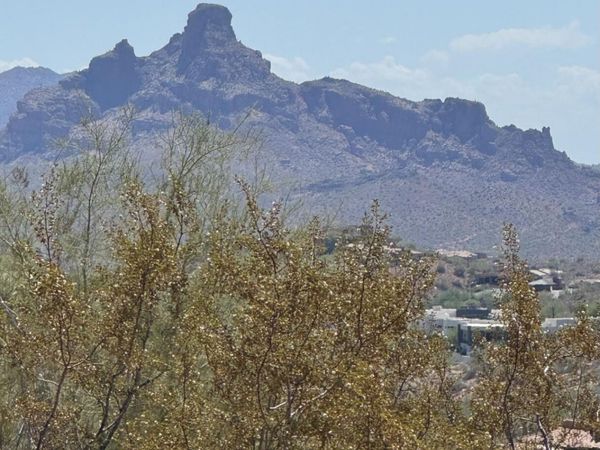 15261 E MUSTANG Drive, Unit 42, Fountain Hills, AZ 85268