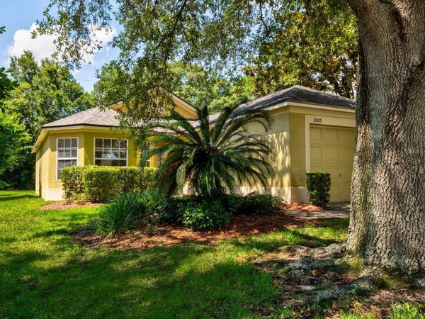 3005 ANDOVER COURT , MOUNT DORA, FL 32757
