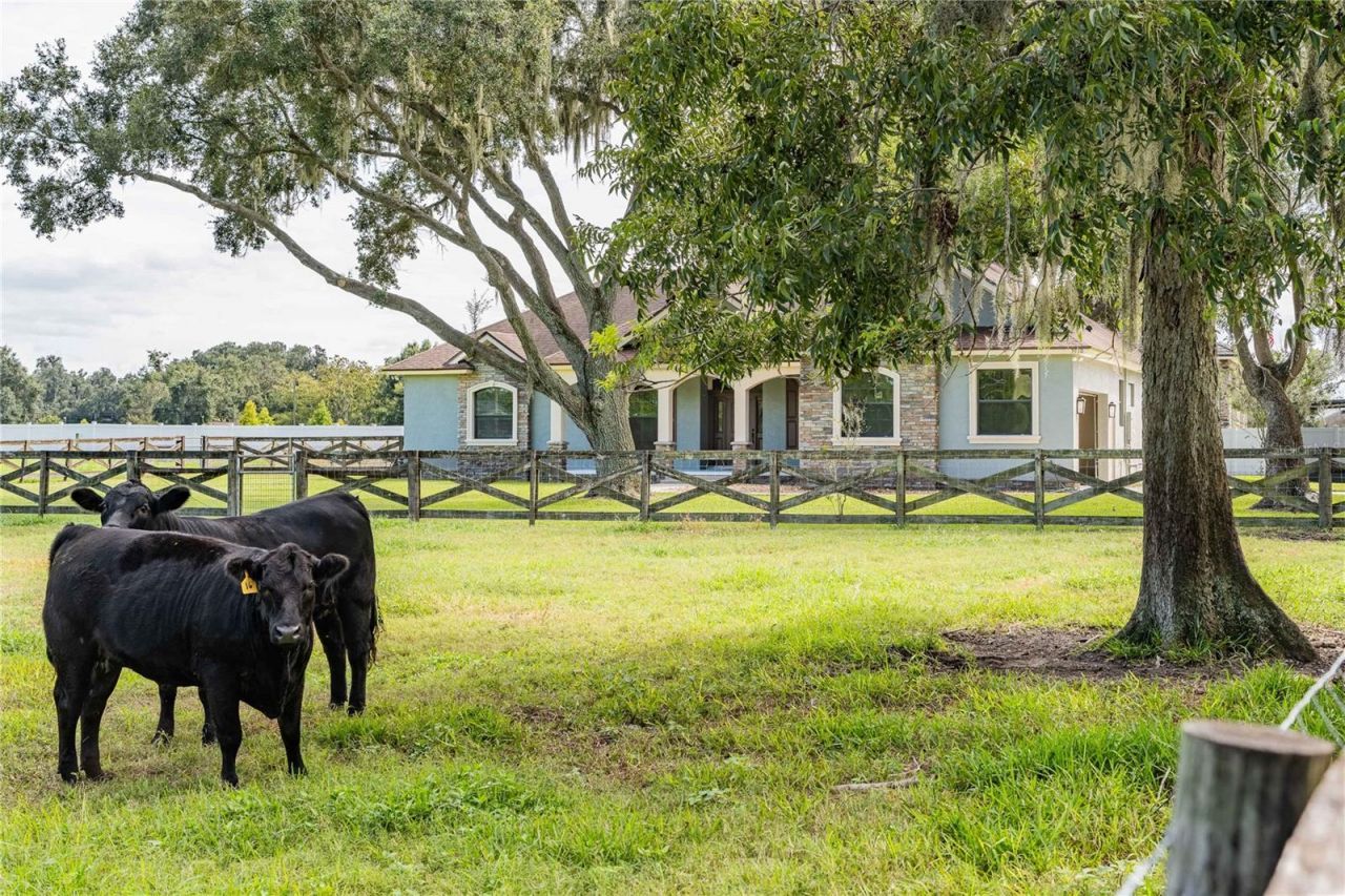 3910 Knights Station Road , Lakeland, FL 33810 Photo