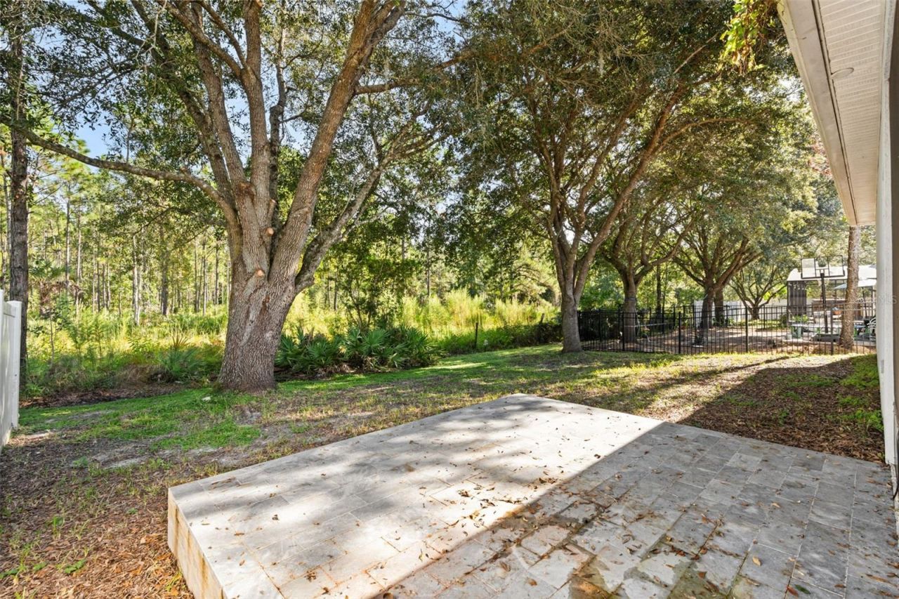 14819 Affirmed Court , Orlando, FL 32826 Photo