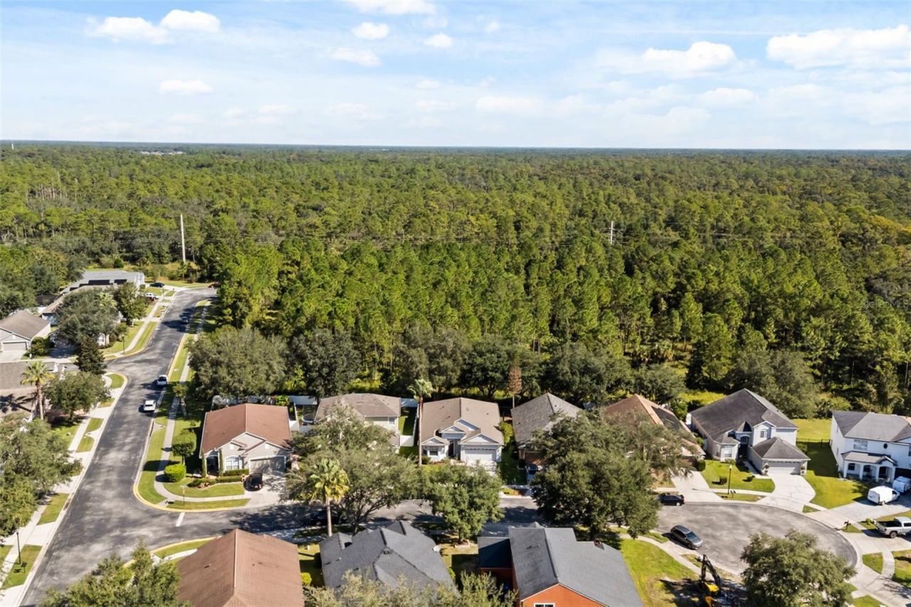 14819 Affirmed Court , Orlando, FL 32826 Photo