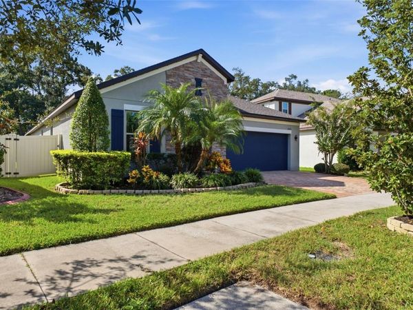 10443 ALCON BLUE DRIVE, RIVERVIEW, FL 33578