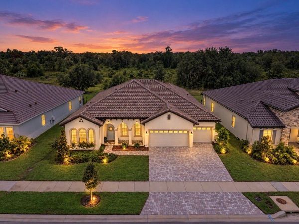 14537 SWISS BRIDGE DRIVE , LITHIA, FL 33547