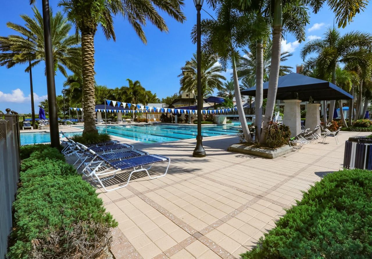 954 Signet Drive, Apollo Beach, FL 33572 Photo