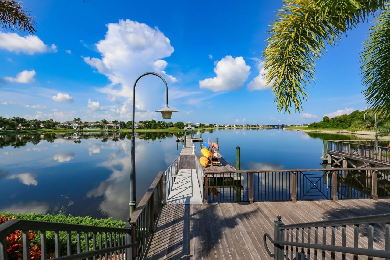 954 Signet Drive, Apollo Beach, FL 33572 Photo
