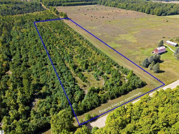 Shively Road, Fife Lake, MI 49633