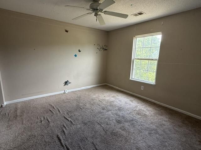 136 Shawnmoor Lane Photo 16