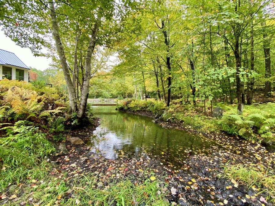 Property Image 63