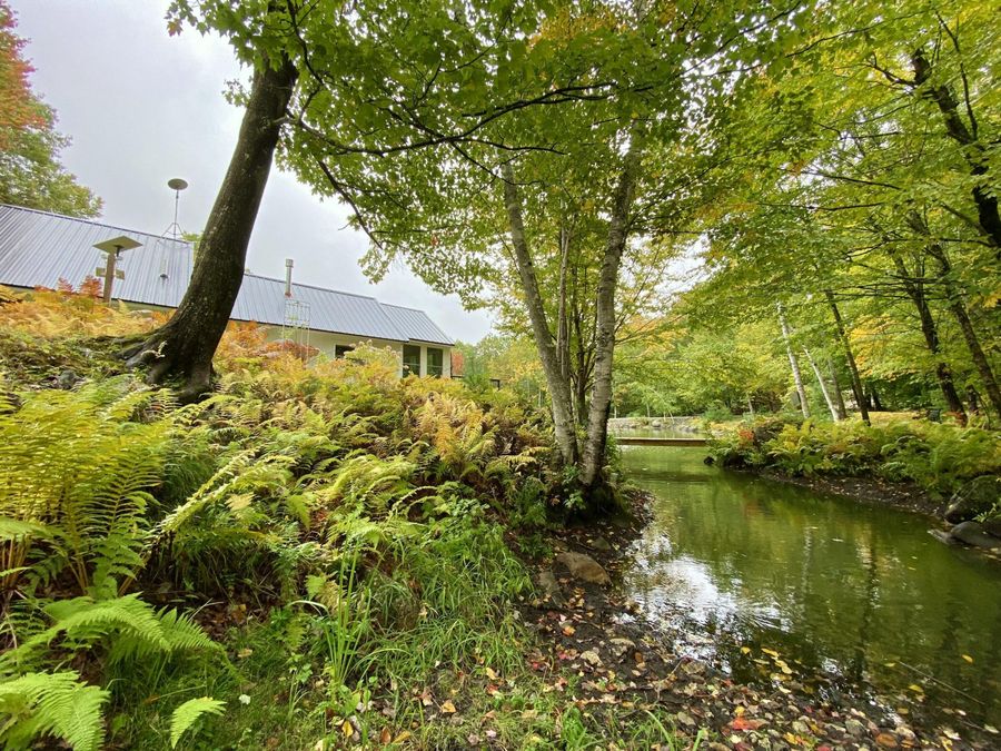 Property Image 64
