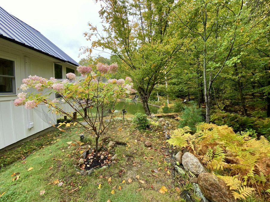 Property Image 65