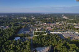 1013 Lykes Lane  photo 4