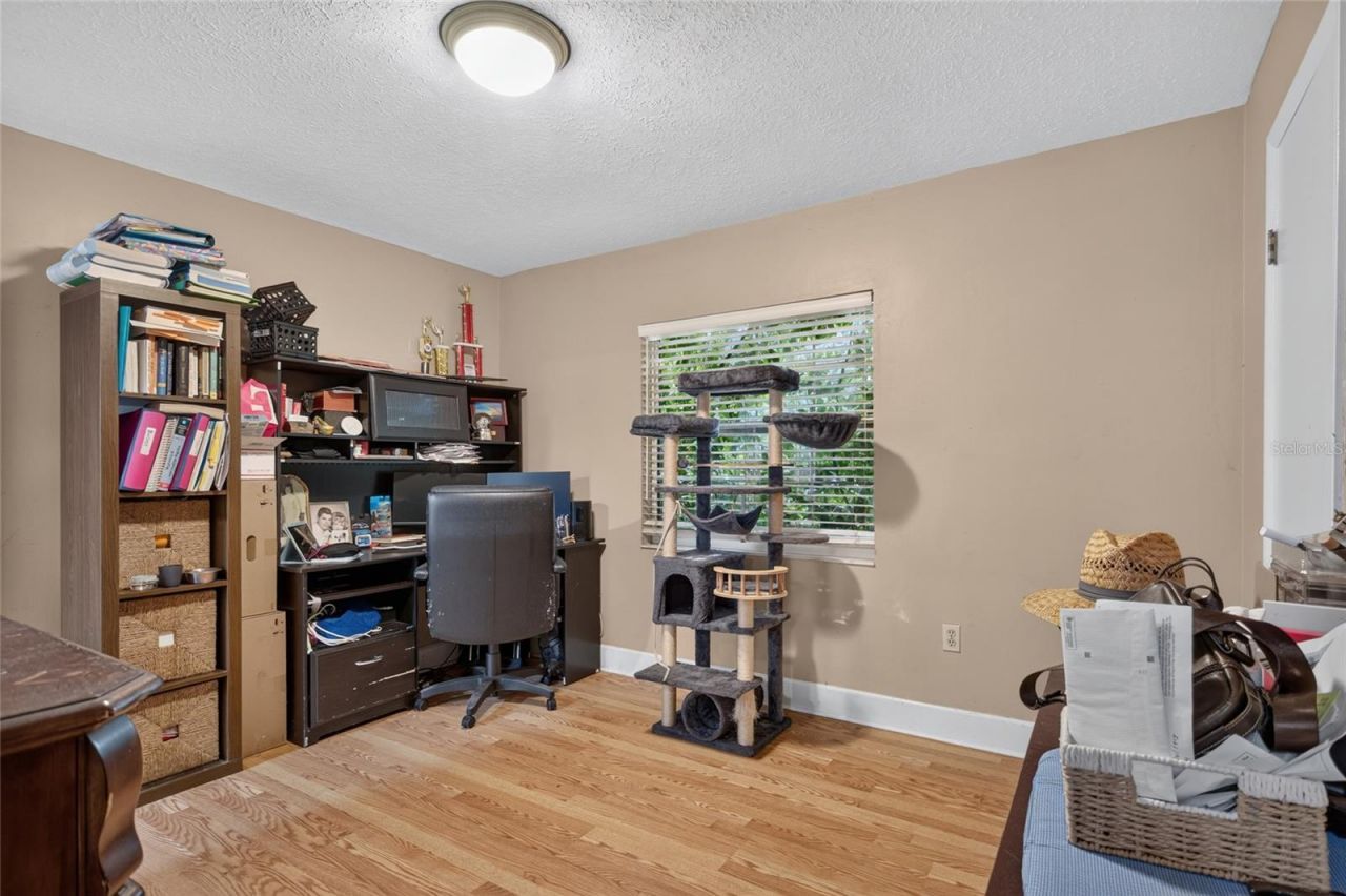 531 Garrard Drive, Temple Terrace, FL 33617 Photo
