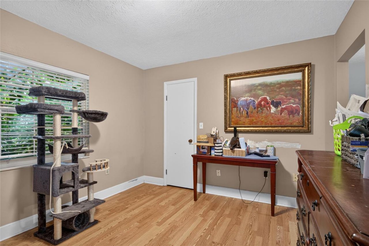 531 Garrard Drive, Temple Terrace, FL 33617 Photo