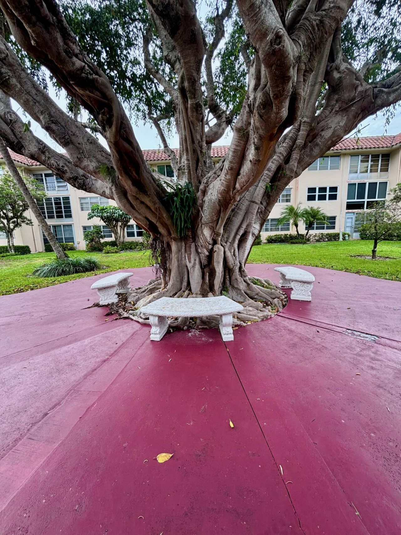 400 NE 20th Street, Unit B208, Boca Raton, FL 33431 Photo