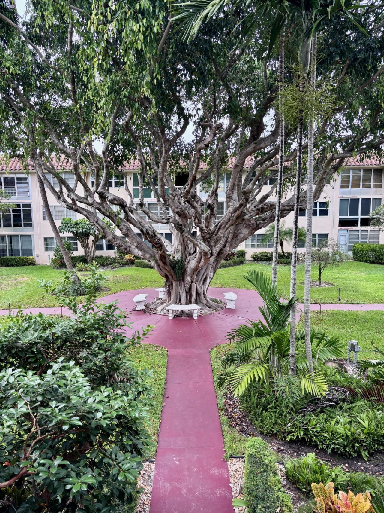 400 NE 20th Street, Unit B208, Boca Raton, FL 33431 Photo