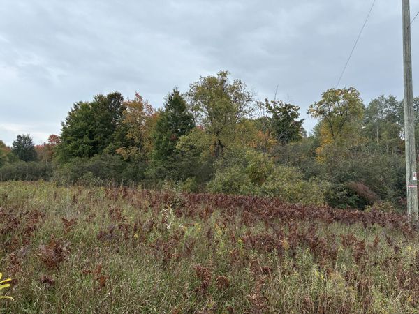 10430 N Elm Avenue, Paris, MI 49338